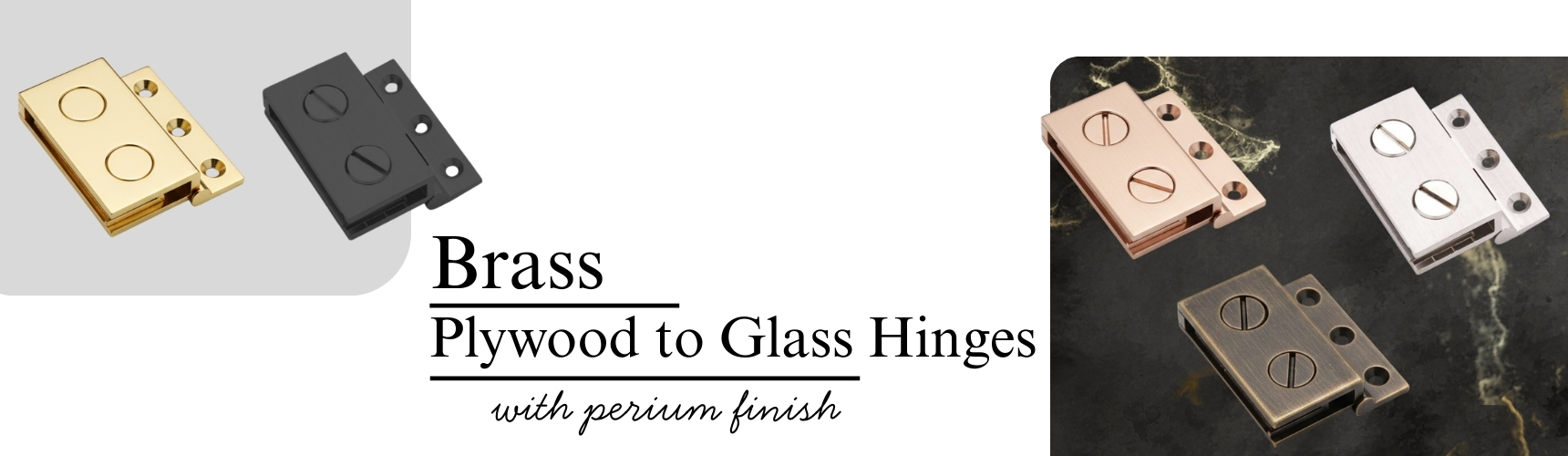 Plywood-to-Glass-Hinges-1771252503.jpg